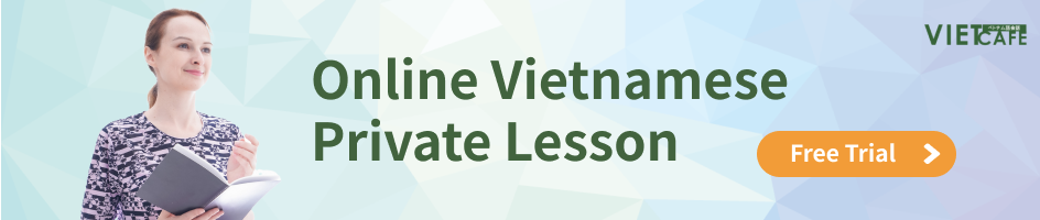 Online Vietnamese  Private Lesson